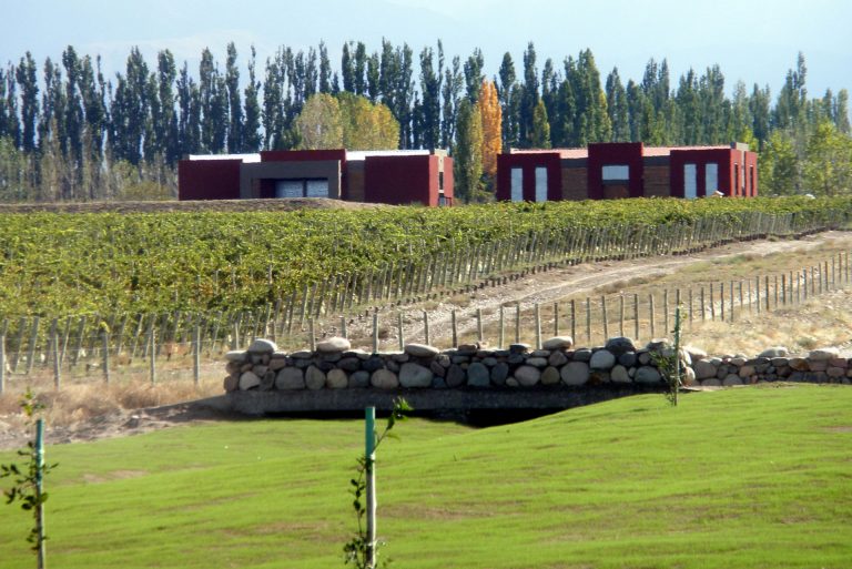 FINCA FERRER - Gualtallary, Argentina - Grupo Freixenet